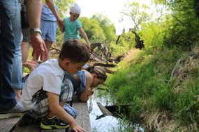 Kinder begutachten die Gewässer des Nationalparks beim Familienfest Donau-Auen